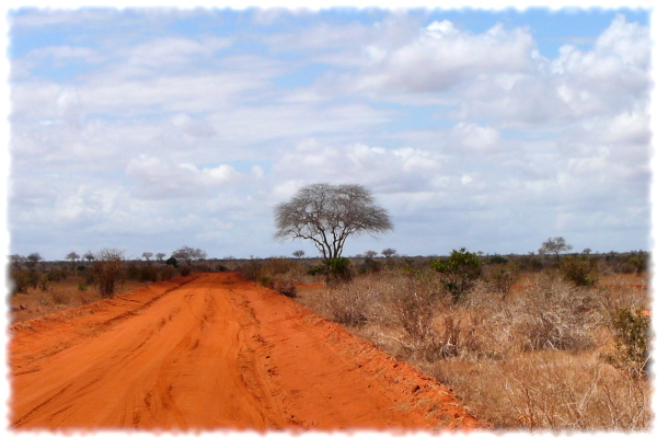 Kenia 2024